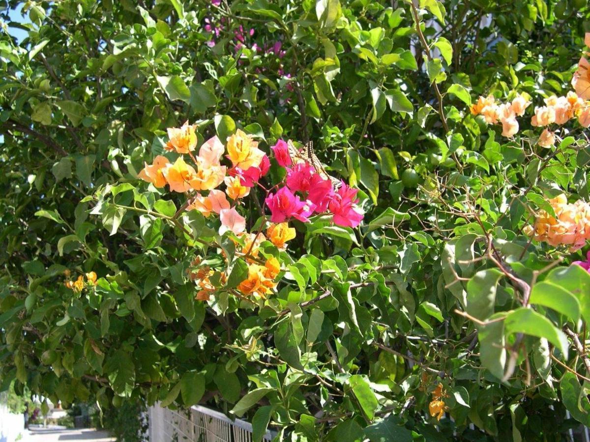 2 Space - Selfcatering Apartment Helen No 7 Ξηροπήγαδο Εξωτερικό φωτογραφία